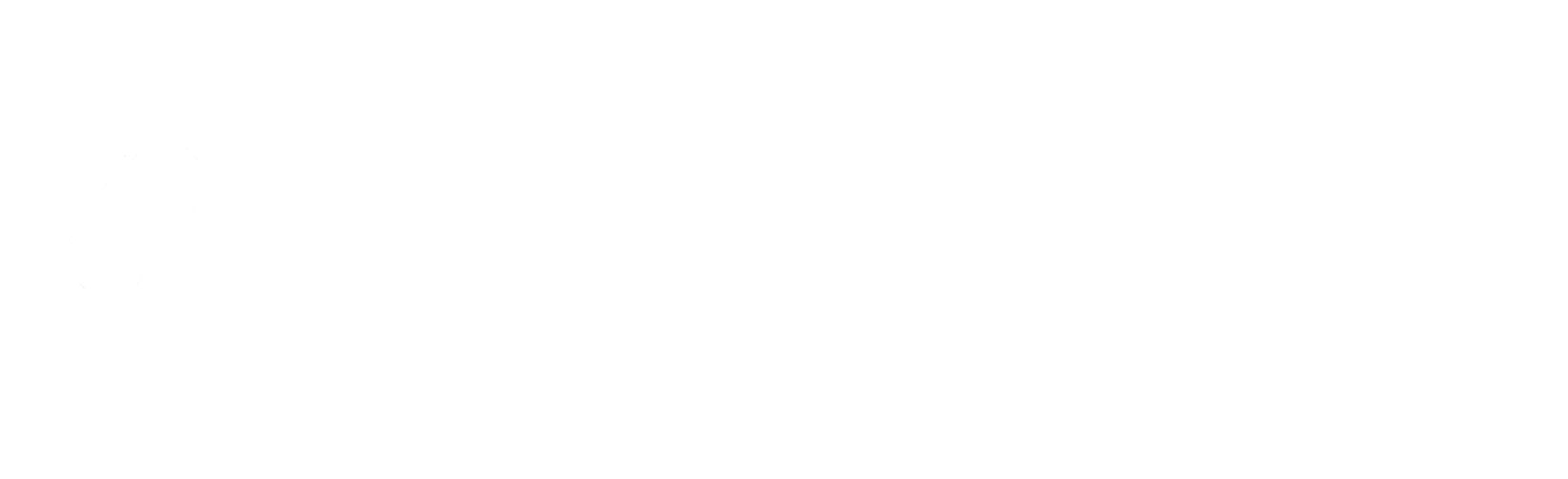Synergy European